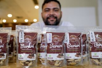 EcoAmazônia: evento reúne feira de bioeconomia, artesanato, gastronomia e oficinas na Semana do Meio Ambiente