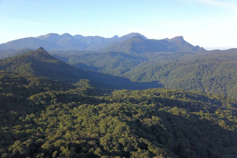Comissão da Câmara marca audiência pública para debater Mata Atlântica e adaptação climática na terça-feira (19)