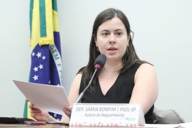 Audiência na Câmara discute regulamentação que envolve auditores fiscais federais agropecuários e apoio privado