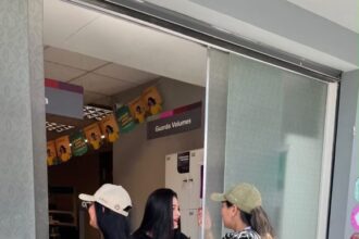 Festival de Parintins 2026: Amazonastur inicia levantamento de dados na Ilha Tupinambarana