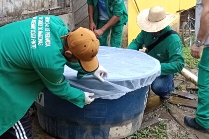 Amazonas atualiza cenário das arboviroses nesta segunda-feira