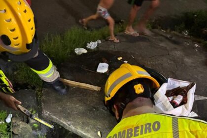 Corpo de Bombeiros é acionado para resgatar cachorros que caíram em bueiro após briga de rua