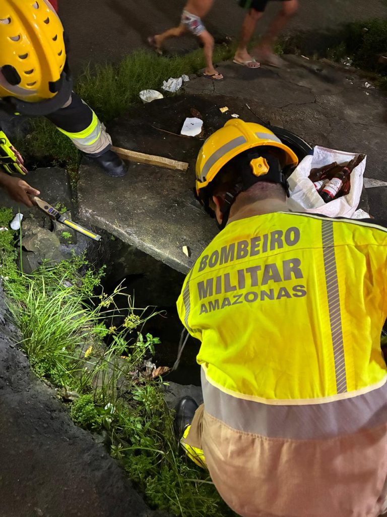 Corpo de Bombeiros é acionado para resgatar cachorros que caíram em bueiro após briga de rua
