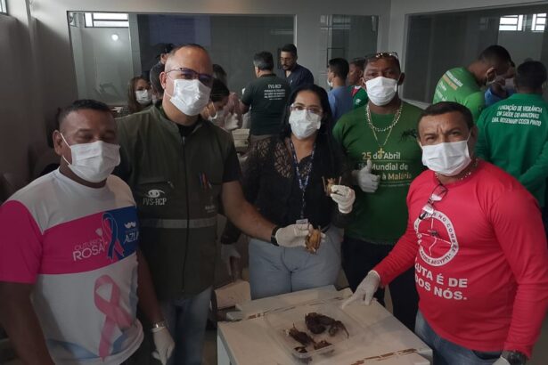 Capacitação em manejo de morcegos reforça vigilância da raiva no sul do Amazonas