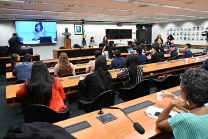 Câmara promove audiência pública para discutir criminalização da misoginia e o PL 896/23