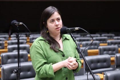 Projeto na Câmara veta registro, posse e comercialização de armas para quem responde a medidas protetivas de urgência