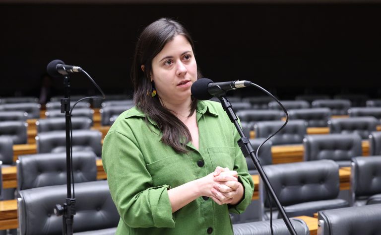 Projeto na Câmara veta registro, posse e comercialização de armas para quem responde a medidas protetivas de urgência