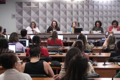 Parlamentares e ativistas pedem votação da criminalização da misoginia no Plenário antes do recesso