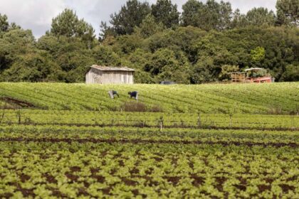 Projeto de Lei 1238/26 propõe validação automática do Cadastro Ambiental Rural para imóveis de até quatro módulos fiscais